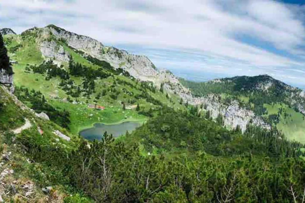 Topmodernes Studio - Sommer Im Bayerischen Inntal Бранненбург Экстерьер фото