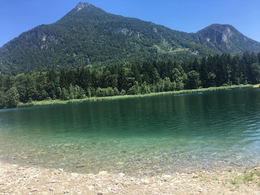 Topmodernes Studio - Sommer Im Bayerischen Inntal Бранненбург Экстерьер фото